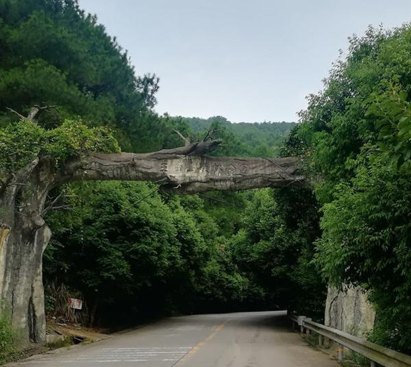 玉峰山森林公园