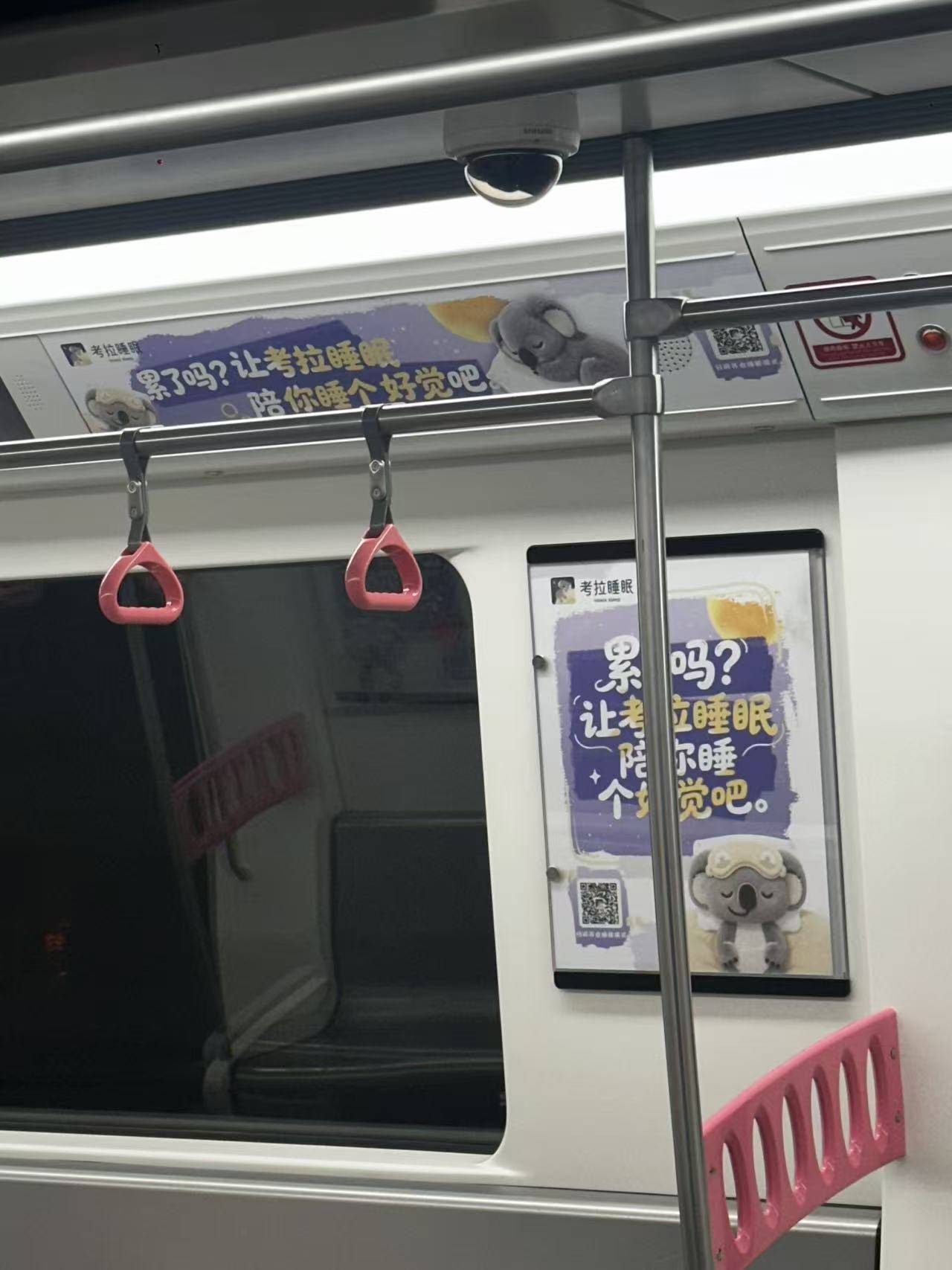 考拉5.jpg